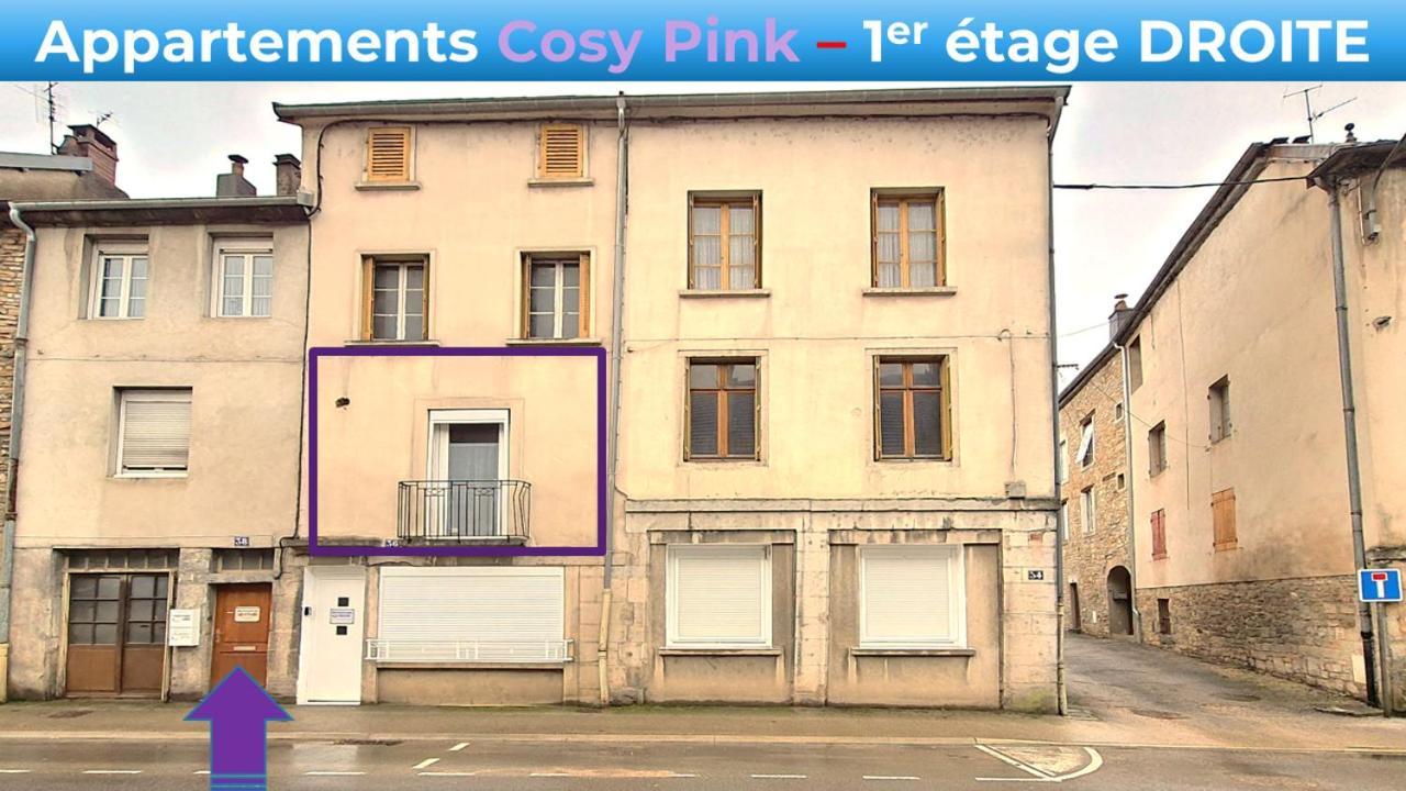 Appartement Cosy Pink Salins Les Bains 外观 照片